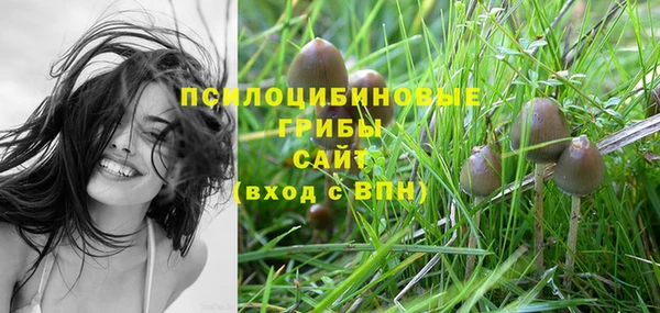 дурь Балабаново