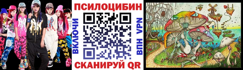 Галлюциногенные грибы Psilocybe  кракен зеркало  Покровск 